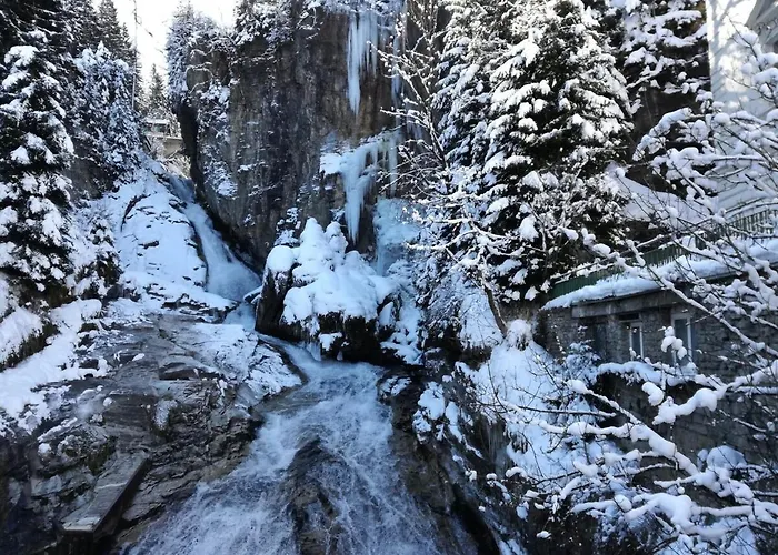 Haus Schubert-top6 * Bad Gastein